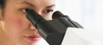 egyptian pharmaceutical marketing services provider